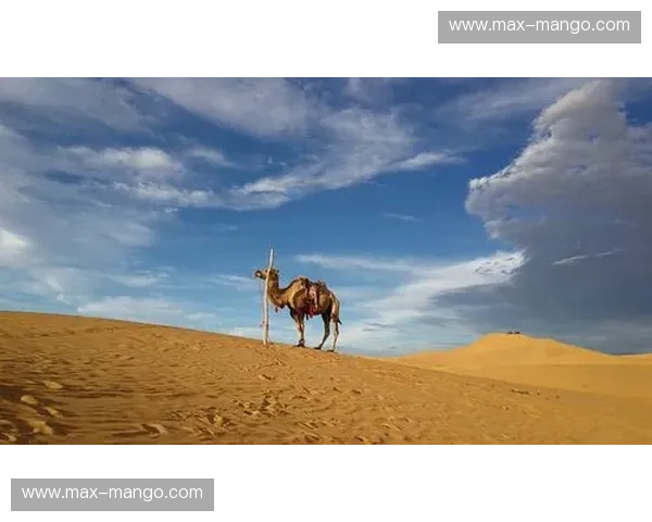 利雅得新月——在沙漠之心邂逅都市新艺术